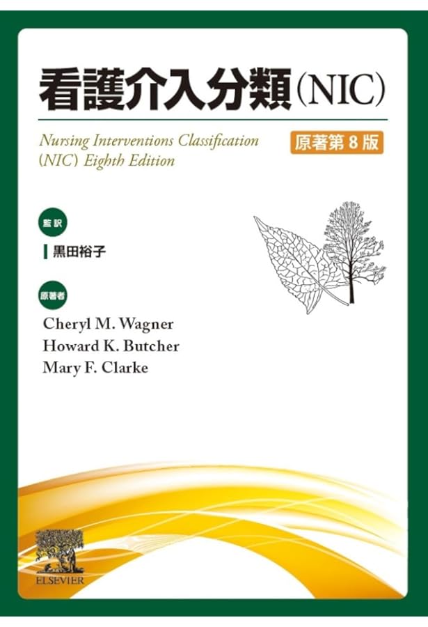 看護成果分類(NOC)原著第6版 | Sue Moorhead, Marion Johnson